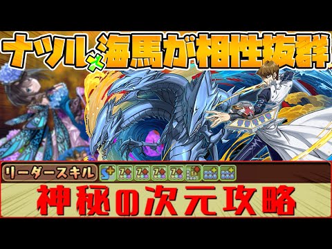 【火力高すぎ】進化後海馬×ナツルで神秘の次元！カンストなんて当たり前！【パズドラ】