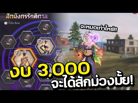 สุ่มสักม่วงด้วยงบ3000ได้อะไร