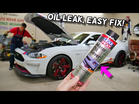 HOW TO EASILY FIX OIL LEAK ON FORD MUSTANG 2005-2023