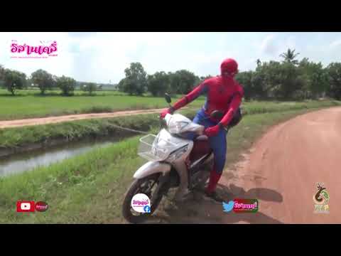 กาฬสินธุ์-สไปเดอร์แมนขายปลานิล กาฬสินธุ์-สไปเดอร์แมนขายปลานิล