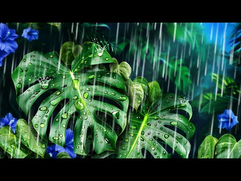 Rain Noise Helps You Sleep at Night | Black Screen Rain Sleep Sounds