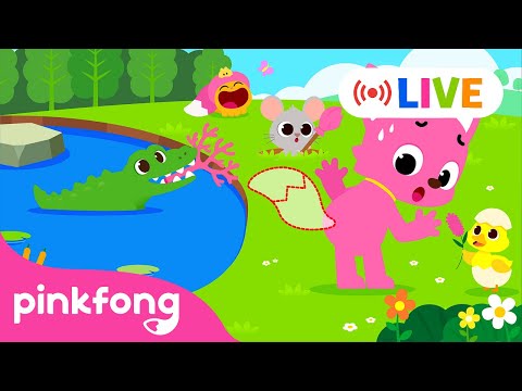 [🔴LIVE]Pinkfong2024:BESTo