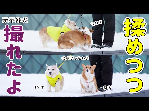 2026年の目標は16才を迎えることです！