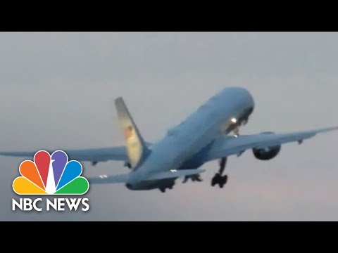 Video Appears To Show Air Force Two Strike Bird | NBC News NOW