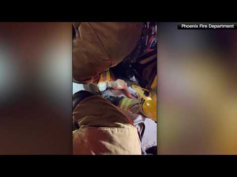 Firefighter bodycam: Dogs rescued from house fire
