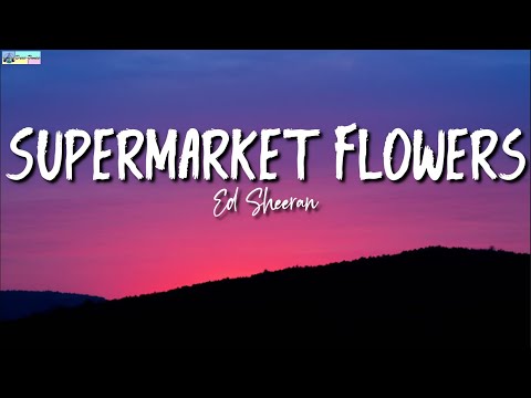 Supermarket Flowers Lyrics - Ed Sheeran