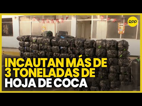 Policía Fiscal incautó más de 3 toneladas de Hoja de coca en Pucusana