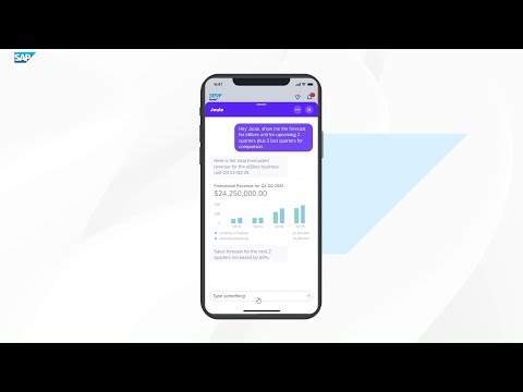 Why Choose a Suite | SAP Business Suite | Demo