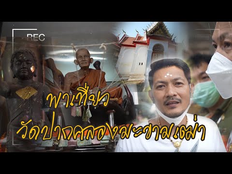 Vlogพาไหว้พระวัดปากคลองมะขามเ