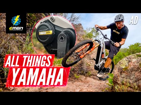 A Motor For Every Scenario | Buyers Guide To Yamaha PW-Series Motors!