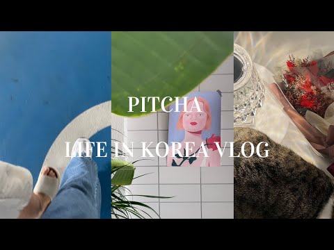 PITCHA VLOG  핏차  VLOGEP8วันรวมญาติคนเกาหลีไปคาเฟ่เกาหลีชมภาพยนตร์ชีวิตในเกาหล