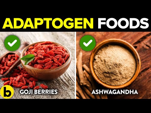5 Adaptogen Foods That Help Reduce Your Stress