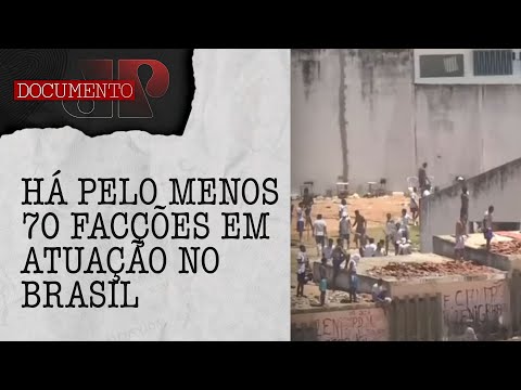 Qual a diferença entre crime organizado e organizações criminosas? | DOCUMENTO JP