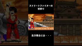ストリートファイターに巻き込まれた時