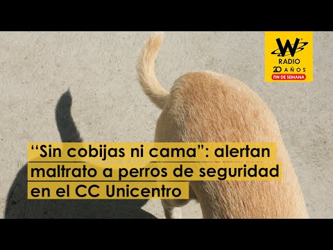 “Sin cobijas ni cama”: alertan maltrato a perros de seguridad en el CC Unicentro