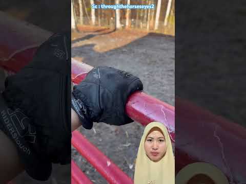 MAIN ES BATU DI BESI ⁉️ throughthehorseseyes2