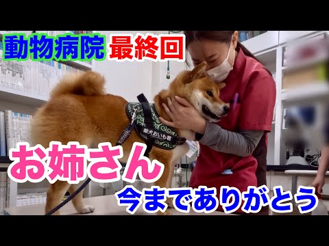 【最終回】動物病院 お姉さん今までありがとう!