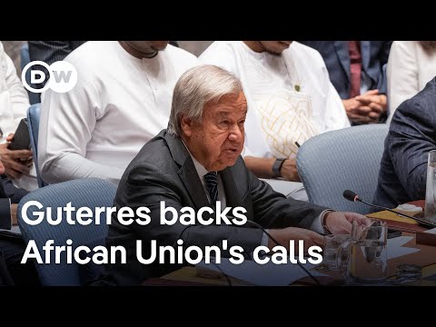 Why is African representation important in the UNSC? | DW News