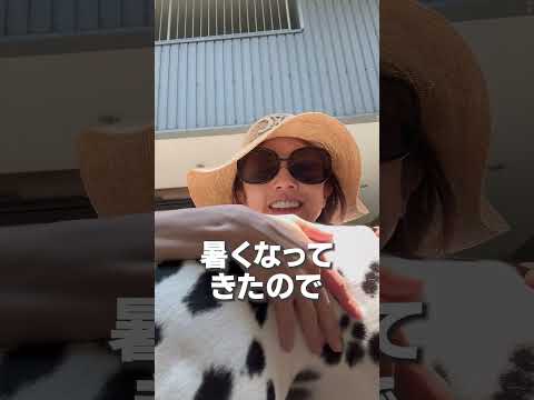 高岡早紀の本日の私服｜夏真っ盛り🌻Tシャツ&ジーンズ👖コーデ