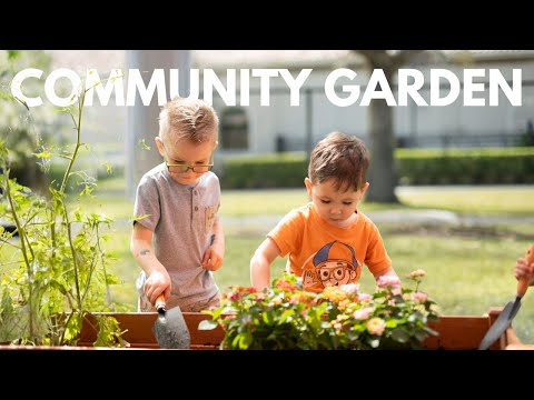 Visiting the South Creek Library Community Garden | Earth Day 2024