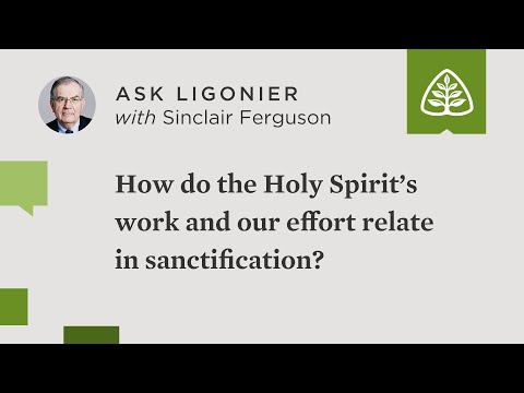 What is the relationship between the Holy Spirit's work and our effort in sanctification?