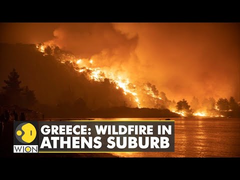 🌎Greece: Wildfire in Athens suburb, no casualties reported | World Latest English News | WION
