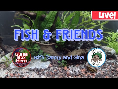 Fish & Friends with Danny and Gina | Season 2, Epi Be sure to check out my Patreon if you want to support my channel_
       https_//www.patreon.com/Gl