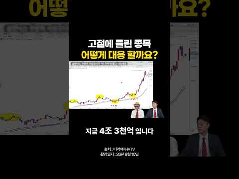 고점에 물린 삼성전자 <strong>하이닉스</strong> 어떻게 대응해야 할까요?