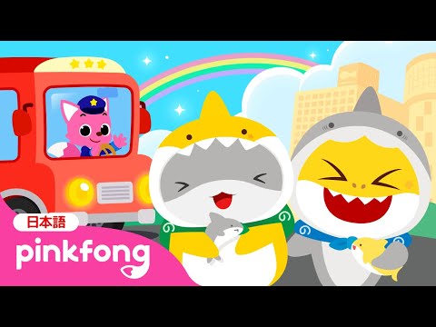 【スペシャル💙コラボ】 ワクワク、たのしい ぼうけん！🗺️ | Pinkfong x おでかけ子ザメ | ベイビーシャークとピンキッツ