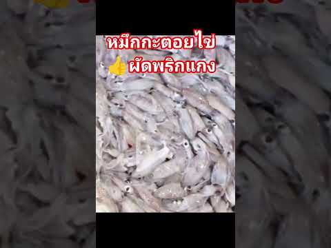 #หมึกกะตอยไข่สดๆไข่แน่นๆผัดพริกแกงอร่อยมาก😚😙