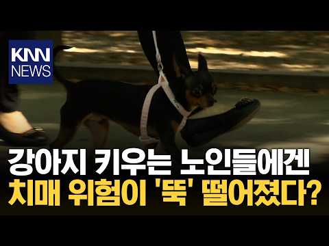 강아지와 함께 살았을 뿐인데 치매 위험이 절반 가까이 줄었다 / <strong>KNN</strong>