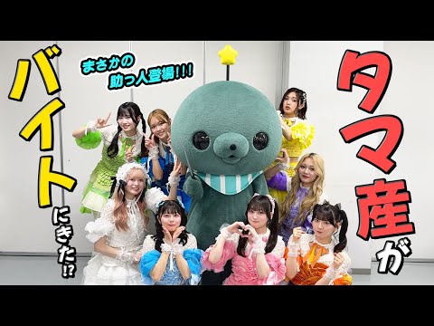 【教育バイト】あの