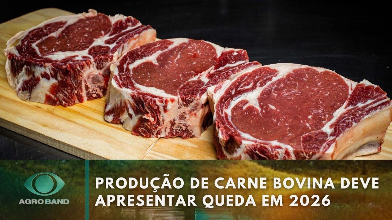 Giro Brasil: colheita da soja e milho, produção de carne bovina e mais! | Agroband
