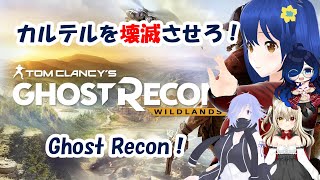 スナイパー【Ghost Recon Wildlands】
