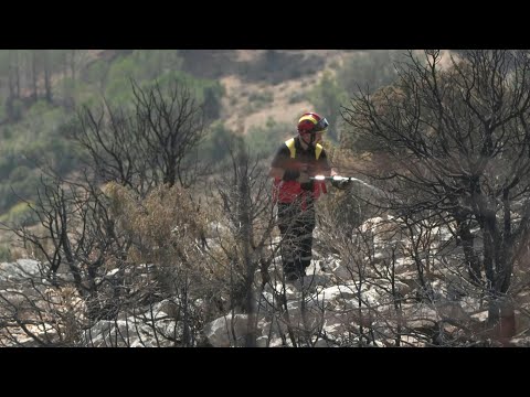 Firefighters patrol burnt terrain in southern France to prevent wildfire reignition | AFP