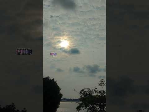 One day I'm gonna fly away WhatsApp Status