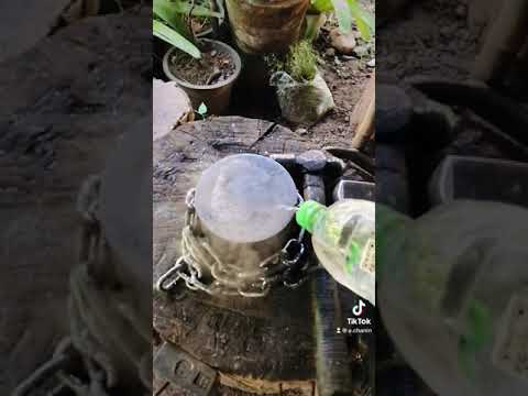 ตี-มีดเดินป่า ตี-มีดเดินป่า