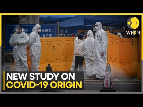New Study Supports Covid-19 Origin Theory Linked to Wuhan Market | Latest English News | WION