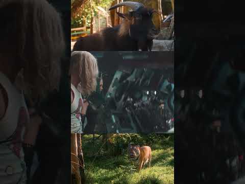 Thor ganhou bodes gritões #comedia #engraçado #funny #thor