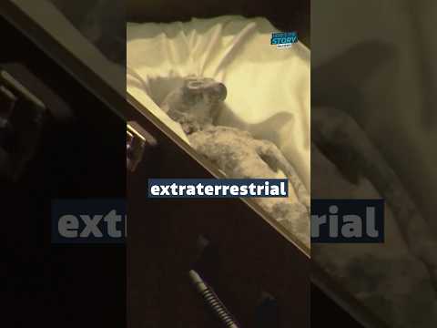 ‘Aliens’ given a CT scan #itvnews #aliens #ufo