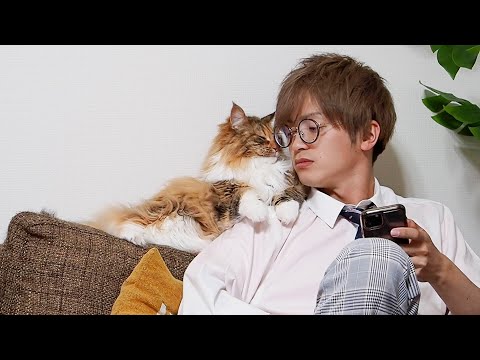 にゃんねるの最新動画 Youtubeランキング