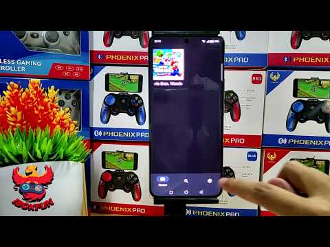 🅿️สอนเล่นเกมส์NSWบนมือถือ+แท