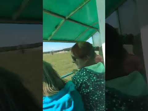 Прогулка по Сафари!😊