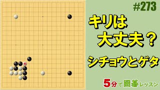 #囲碁 #詰碁 #キリ #シチョウ #ゲタ #初級者でも分かる
将碁友の会の音声教室から、ポイント部分を切り抜いて3分～5分程度の短い動画にして公開しています。
音声教室は、ネット上で先生と会話ができて、碁盤の画面を共有しながら参加できるオンライン授業です。
講師は北川貴浩アマ７段

将碁チャンネル
https://www.youtube.com/@将碁友の会

将碁友の会
https://www.syougo.jp/