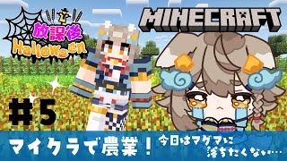 【#minecraft / #マイクラ 】スト鯖でみんなで農場作り！！👀 #放課後ハロウィン 5日目 【 雨庭やえ / VEE 】