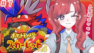 【ポケモンSV / スカーレット】人生初ポケモン#7！！どんどん強く！！！【早乙女ベリー/にじさんじ】