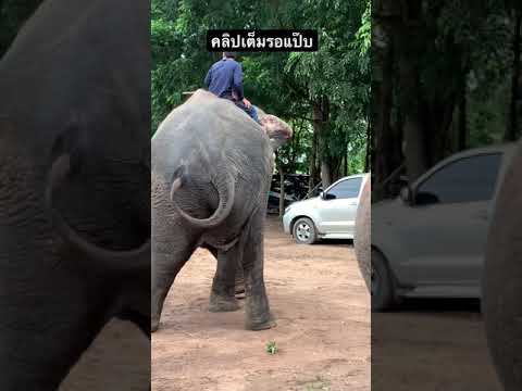 คลิปเต็มรอสักครู่ คลิปเต็มรอสักครู่