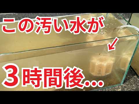 汚れた水に1,000円の水中フィルター入れたら、信じられない変化をしました