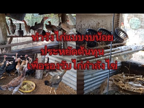 ทำรังไก่แบบประหยัดต้นทุนสำหรับ