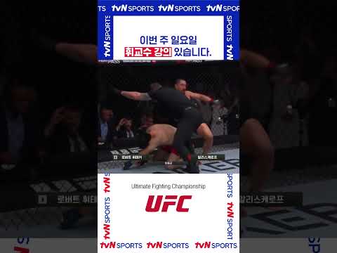 이번주 일요일 휘교수 강의 #UFC